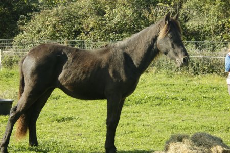 5DE45ACF-14DF-46C1-9A68-ED07200CA2D2.jpeg 5DE45ACF-14DF-46C1-9A68-ED07200CA2D2.jpeg