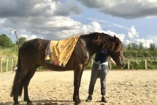 E88C57D3-6E20-4F1A-BB03-11403498CB17.jpeg E88C57D3-6E20-4F1A-BB03-11403498CB17.jpeg