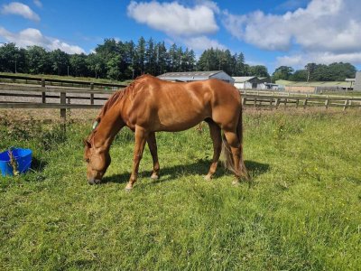 FB_IMG_1688302156093.jpg FB_IMG_1688302156093.jpg