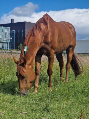 FB_IMG_1688302161026.jpg FB_IMG_1688302161026.jpg