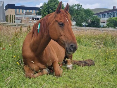 FB_IMG_1688302165607.jpg FB_IMG_1688302165607.jpg