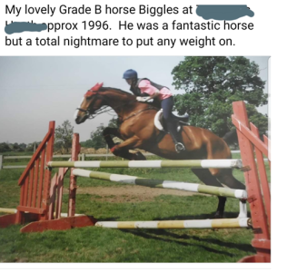 1688387207274.png 1688387207274.png