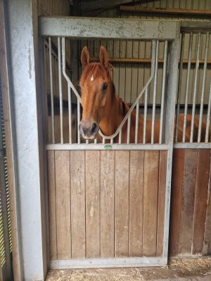 FB_IMG_1688483679448.jpg FB_IMG_1688483679448.jpg