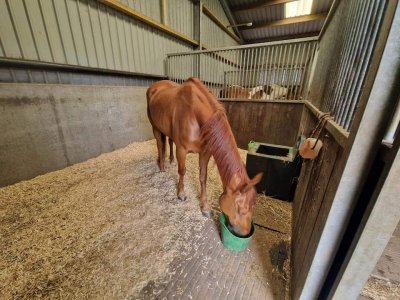 FB_IMG_1688483683306.jpg FB_IMG_1688483683306.jpg