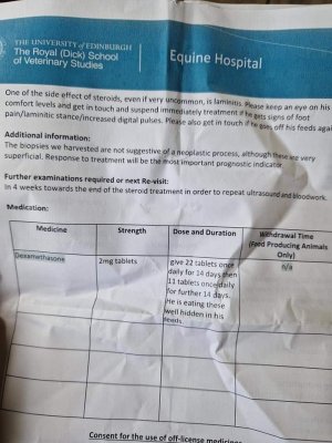 FB_IMG_1688483688422.jpg FB_IMG_1688483688422.jpg