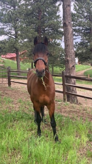 AE46BC38-9BE0-4A07-82D6-39D4A82847FF.jpeg AE46BC38-9BE0-4A07-82D6-39D4A82847FF.jpeg