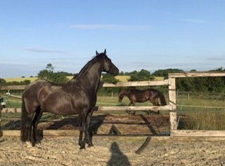 34F75A60-824E-479B-B295-CAD1B8D0961E.jpeg 34F75A60-824E-479B-B295-CAD1B8D0961E.jpeg