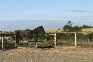 2F9CEACC-1EEE-4F33-BF92-EB9982D6A40B.jpeg 2F9CEACC-1EEE-4F33-BF92-EB9982D6A40B.jpeg