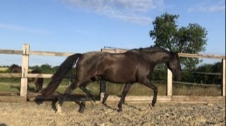 FCAF8F94-5228-49F2-B208-2D2AD6BBE6AD.jpg FCAF8F94-5228-49F2-B208-2D2AD6BBE6AD.jpg