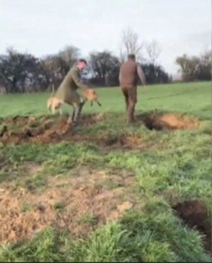 IMG_3875.jpeg IMG_3875.jpeg