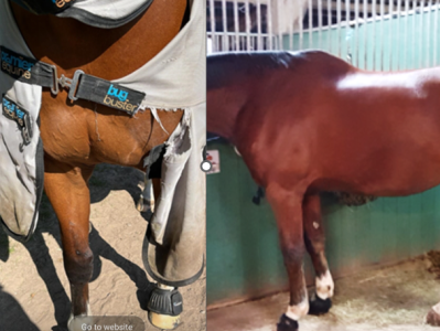 1688992950469.png 1688992950469.png