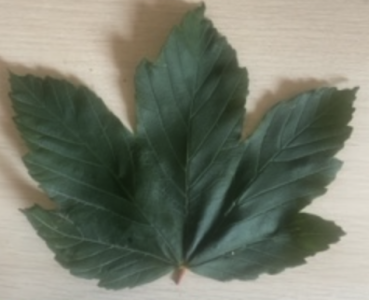 Screenshot 2023-07-10 at 15.08.15.png