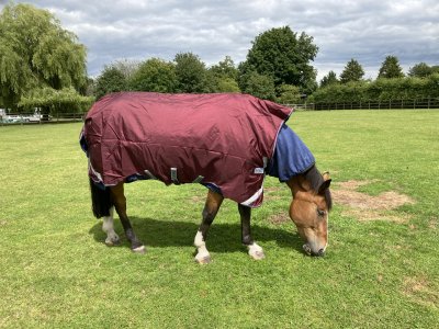 IMG_1497.jpeg IMG_1497.jpeg