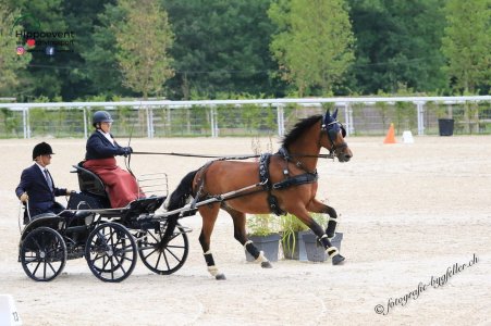 IMG_6721.jpeg IMG_6721.jpeg