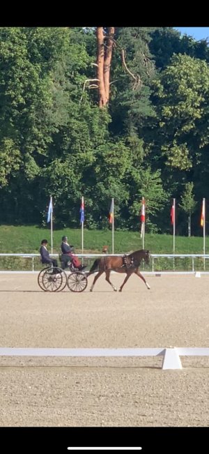 IMG_6713.jpg IMG_6713.jpg