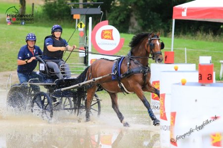 IMG_6665.jpeg IMG_6665.jpeg