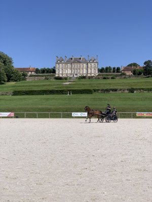 IMG_0228.jpeg IMG_0228.jpeg