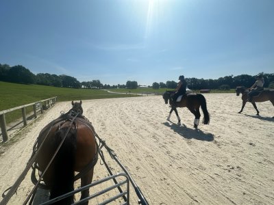 IMG_6507.jpeg IMG_6507.jpeg