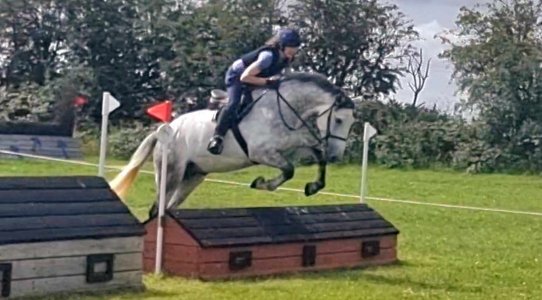 358578465_1326020518258744_3831174234982286853_n.jpg 358578465_1326020518258744_3831174234982286853_n.jpg