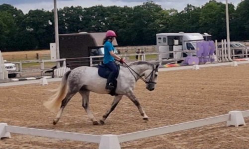 360077828_6353412461402028_65568965720805755_n.jpg 360077828_6353412461402028_65568965720805755_n.jpg