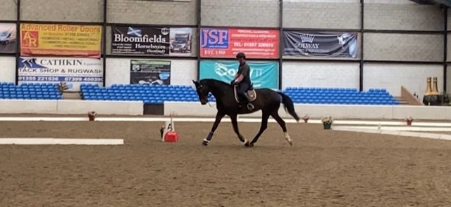 IMG_1721.jpg IMG_1721.jpg