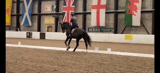 IMG_1720.jpg IMG_1720.jpg