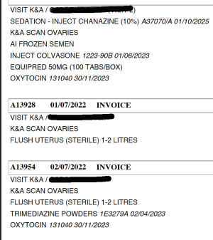 Screenshot 2023-07-12 at 08.39.29.png