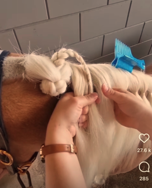 Capture dreafe braids.PNG