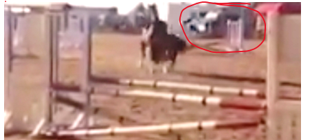 1689250435775.png 1689250435775.png