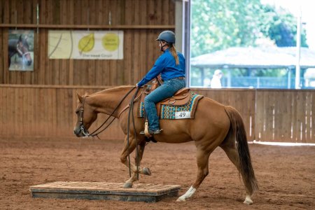 bridge.jpg bridge.jpg