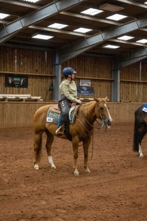 cheeky.jpg cheeky.jpg