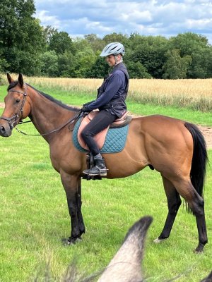 IMG-20230713-WA0002.jpg IMG-20230713-WA0002.jpg