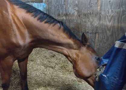 1689278903420.jpg 1689278903420.jpg