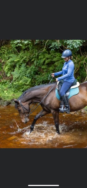 B05016DD-2190-414C-ABD8-B6E00B349C7B.jpeg B05016DD-2190-414C-ABD8-B6E00B349C7B.jpeg