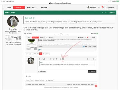 E66C9EE7-2E7F-40A4-9968-974A745F01BD.jpeg E66C9EE7-2E7F-40A4-9968-974A745F01BD.jpeg