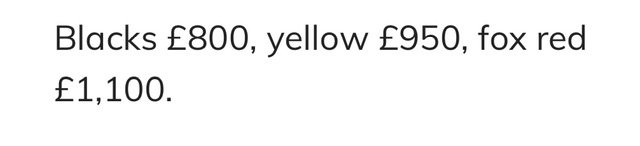 IMG_2700.jpeg IMG_2700.jpeg