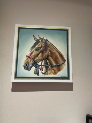IMG_2109.jpeg
