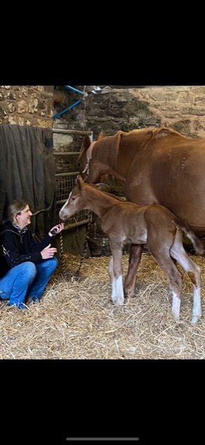 231CA3C9-31BF-4484-B571-8261093A0B75.jpeg 231CA3C9-31BF-4484-B571-8261093A0B75.jpeg