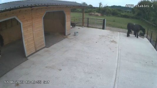 CCTV stables 2_live_1687000617767.jpg