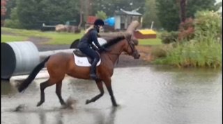 CFA702B6-5812-44A5-9129-E075EBD54F46.jpeg CFA702B6-5812-44A5-9129-E075EBD54F46.jpeg