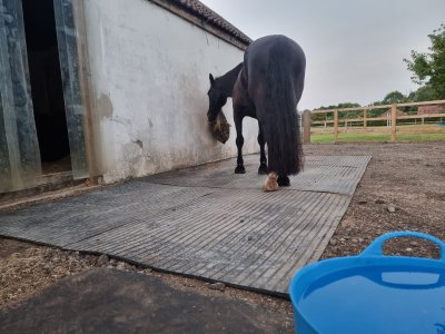 298725347_10222786122105637_1364995551355745740_n (1).jpg