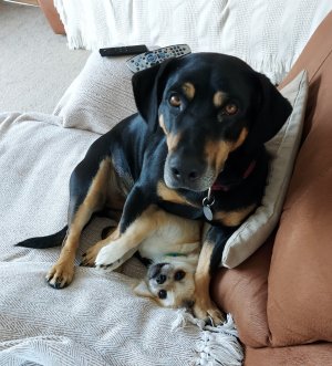 187265696_10158673411968110_554455565658467432_n (1).jpg 187265696_10158673411968110_554455565658467432_n (1).jpg