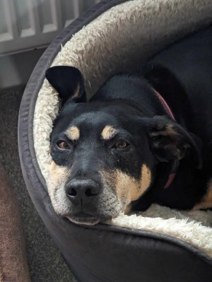 362238096_650995053352468_5428023325775702022_n (1).jpg