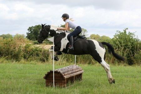 IMG_6641.jpeg IMG_6641.jpeg