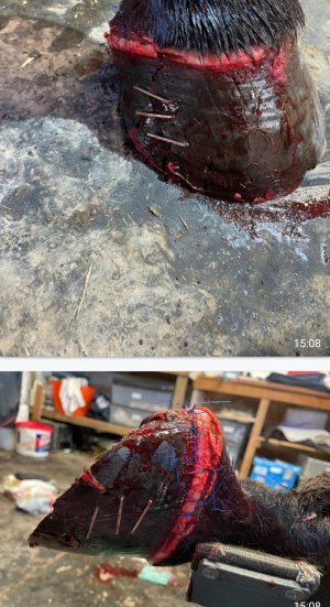Screenshot_20230725-055334_WhatsApp.jpg