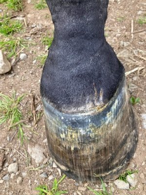 IMG_4942.jpeg IMG_4942.jpeg