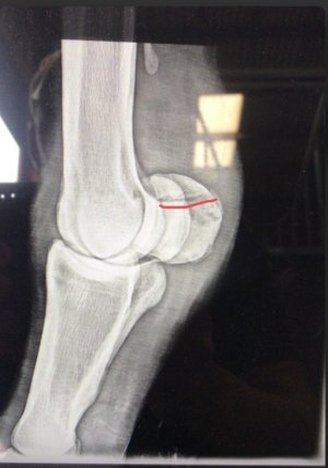 IMG_3925.jpeg IMG_3925.jpeg