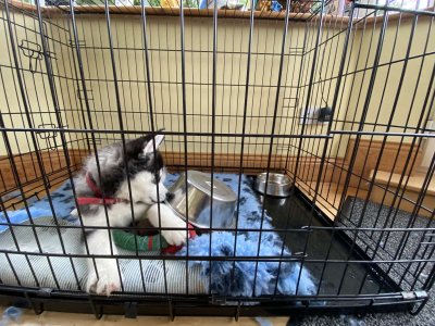 IMG_6901.jpeg IMG_6901.jpeg