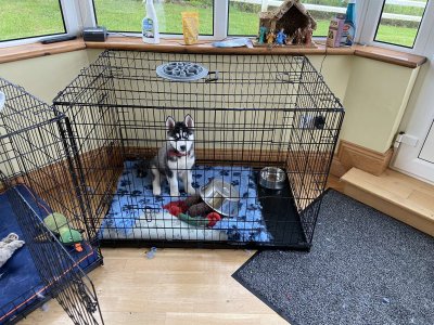 IMG_6900.jpeg IMG_6900.jpeg