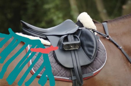 jumping-saddle-on-horse.jpg